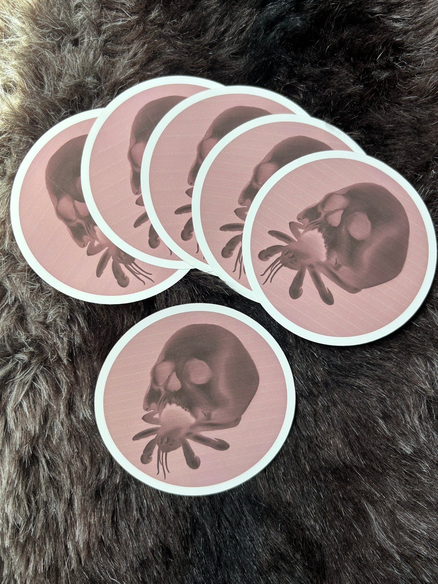 Inverted Adaptation Stickers 3.5x3.5”