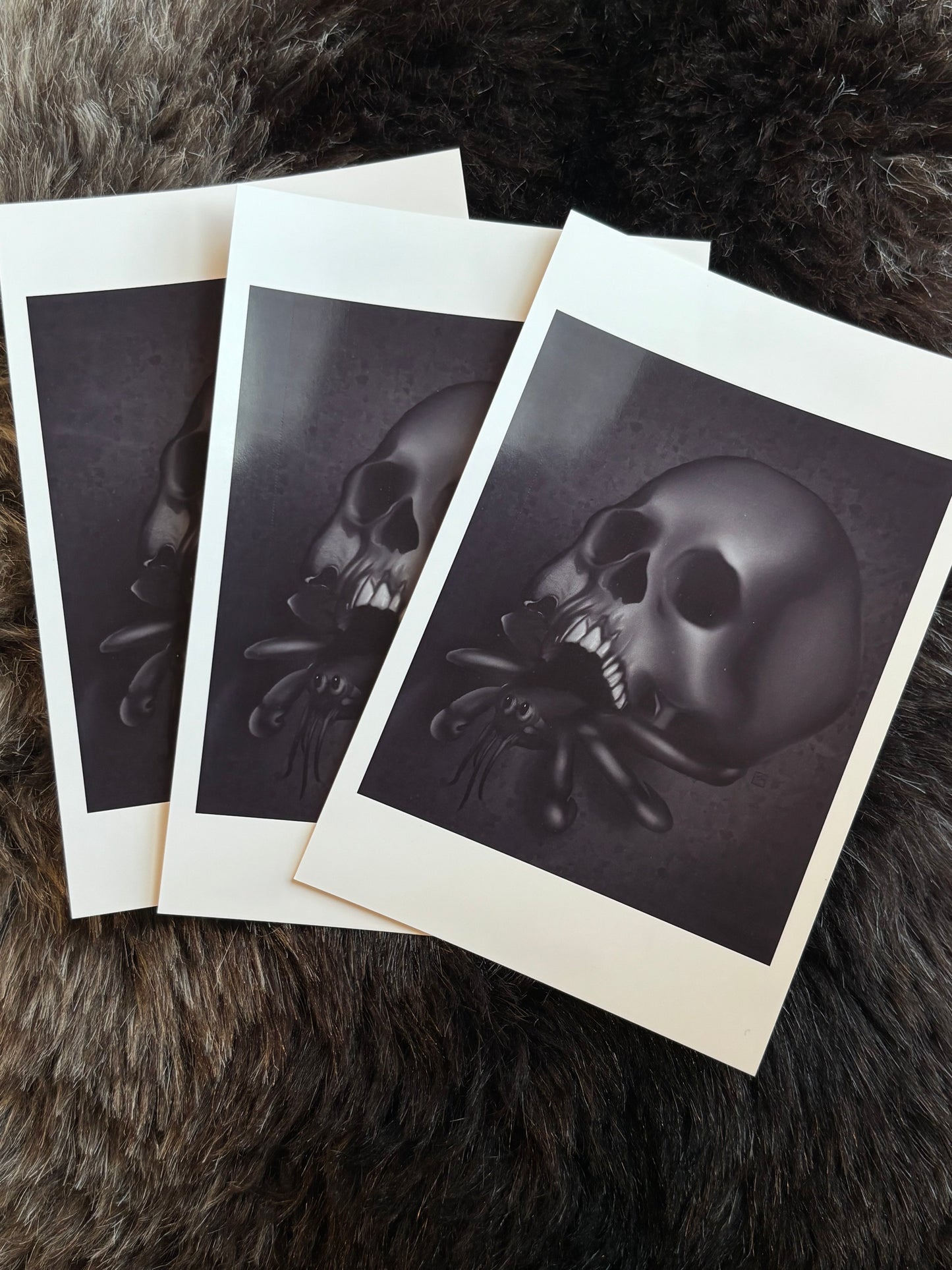 Adaptation Mini Print